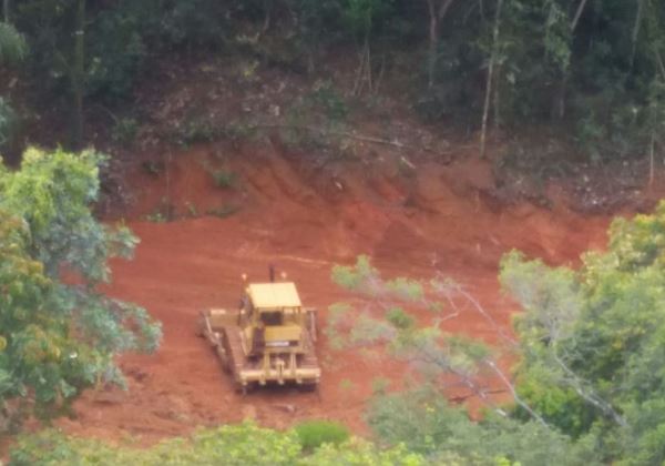 Amaz Nia Perdeu Rvores Por Segundo Em E Desmate Subiu No Pa S